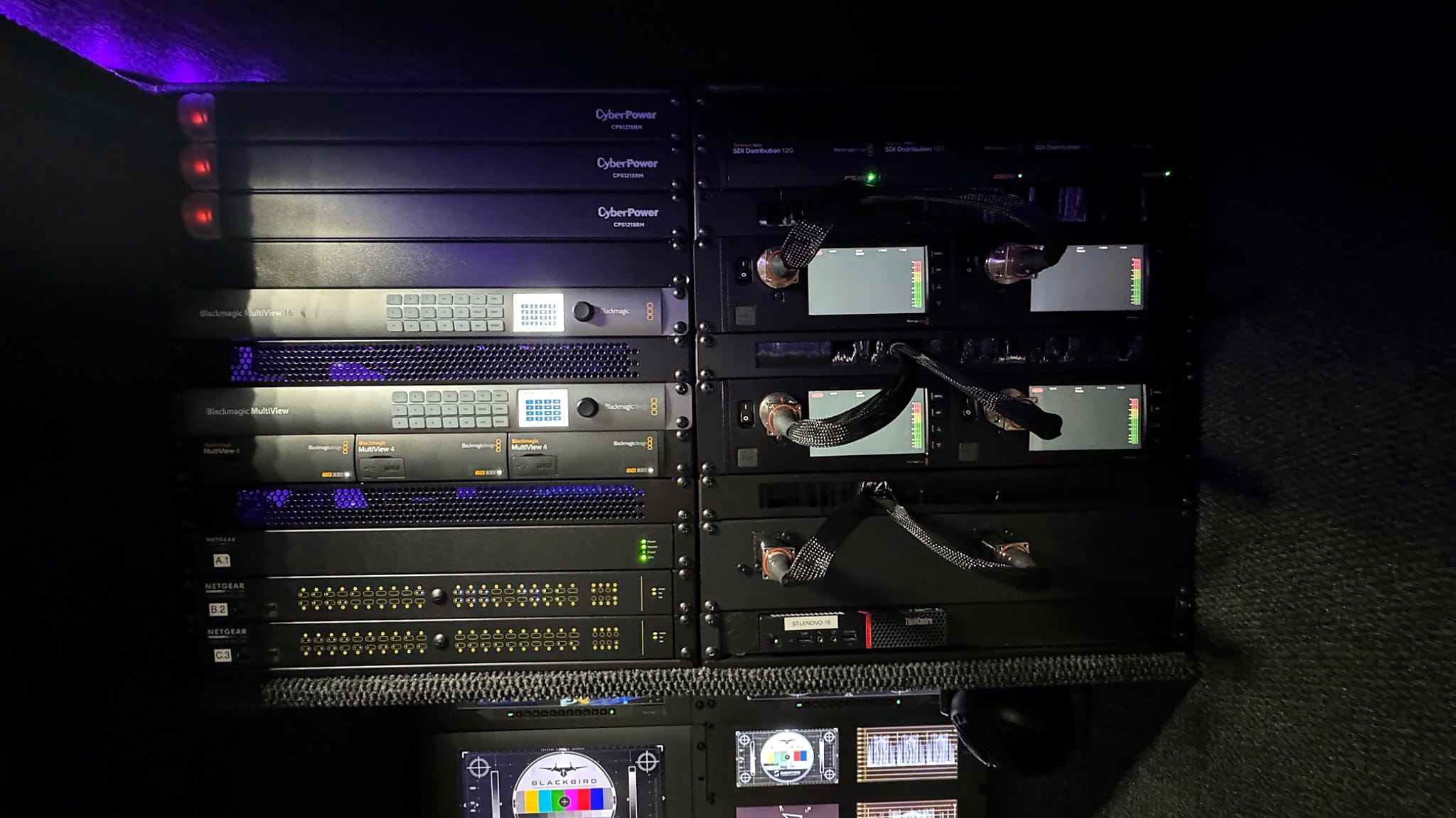 Integrated multiview, distribution, network and processing systems